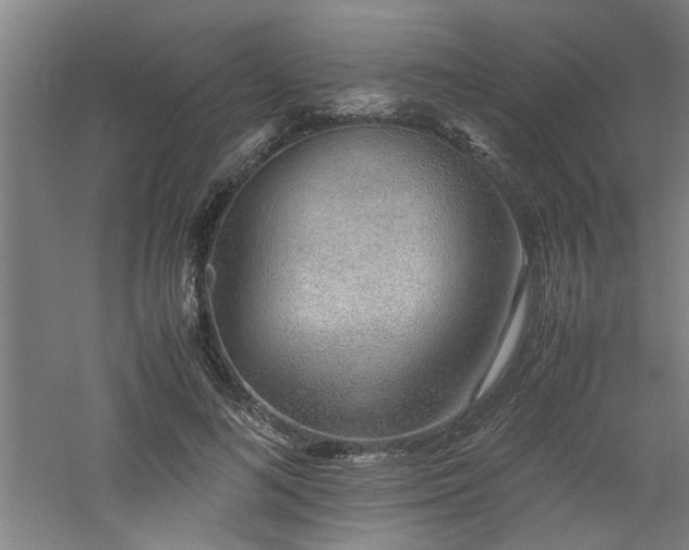 X0000060780692200511101340