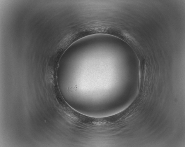 X0000060780693200511101340