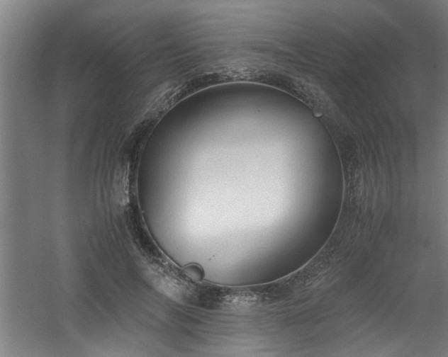 X0000060780694200511101340