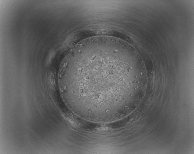 X0000060780695200511101340