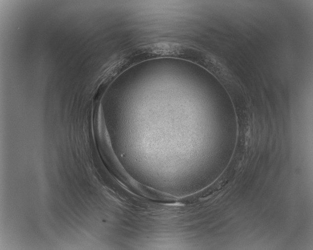 X0000060780696200511101340