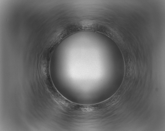 X0000060780698200511101340