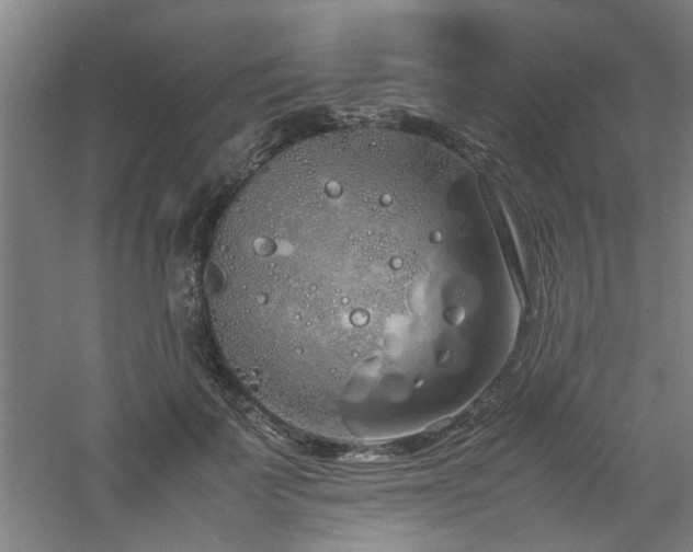 X0000060780699200511101340