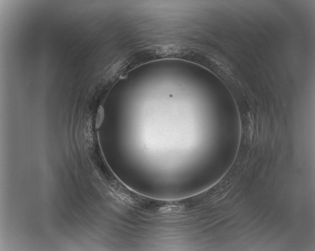 X0000060780700200511101340