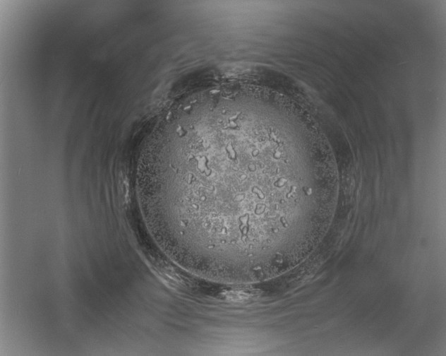 X0000060780703200511101340