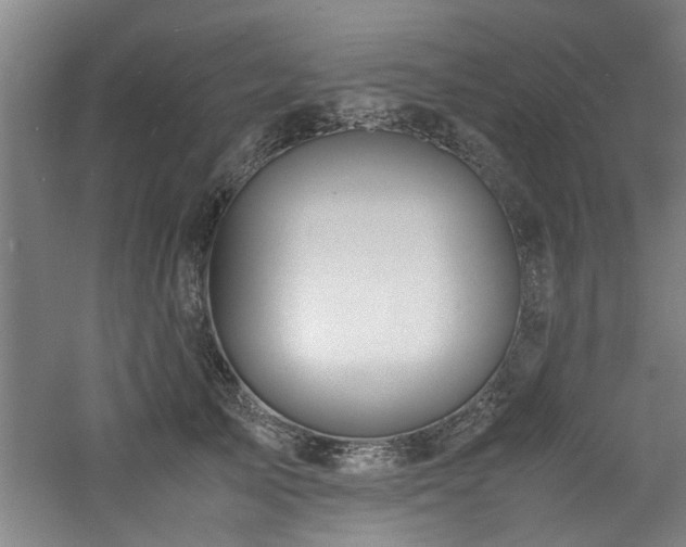 X0000060780705200511101340