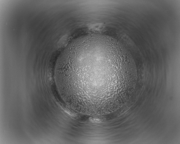 X0000060780706200511101340