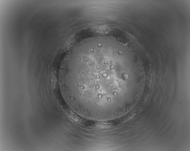 X0000060780707200511101340