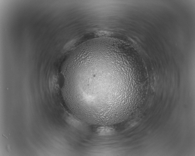 X0000060780714200511101340