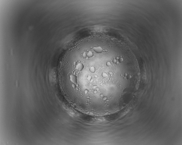 X0000060780715200511101340