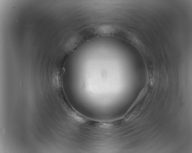 X0000060780718200511101340