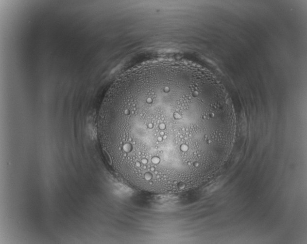 X0000060780719200511101340