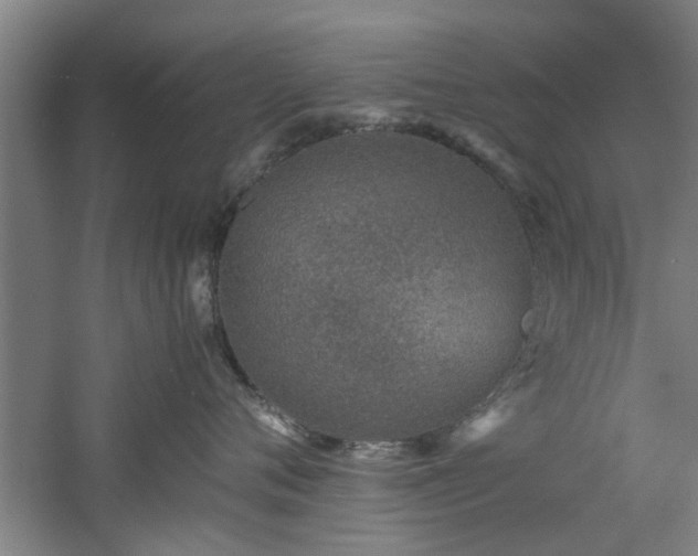 X0000060780720200511101340