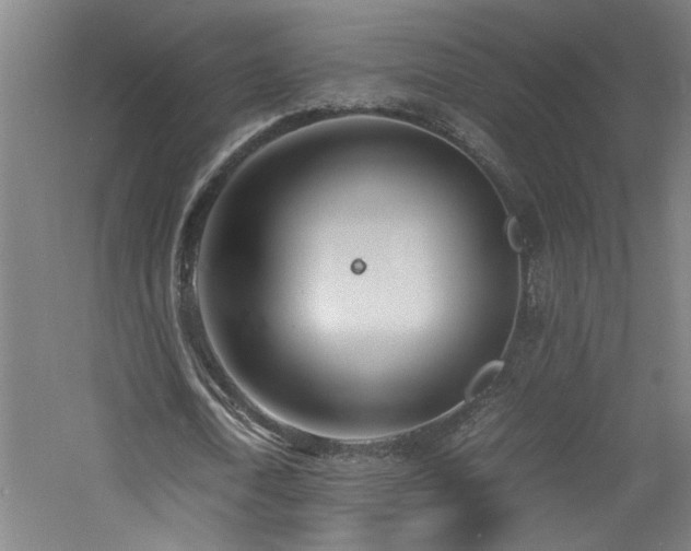 X0000060780722200511101339