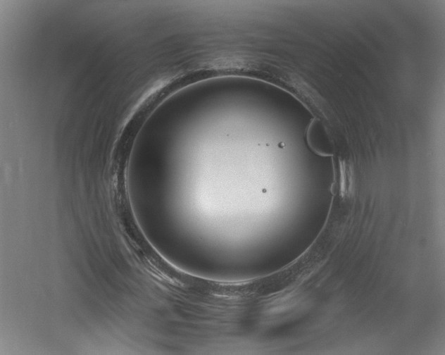 X0000060780723200511101339