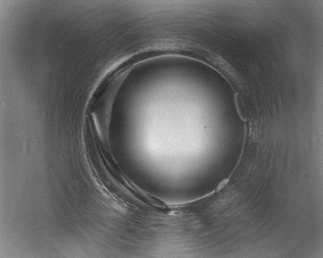 X0000060780724200511101339