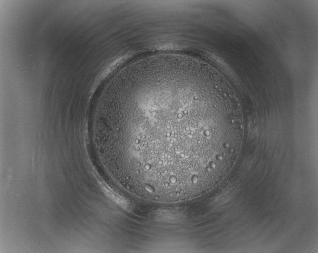 X0000060780725200511101339