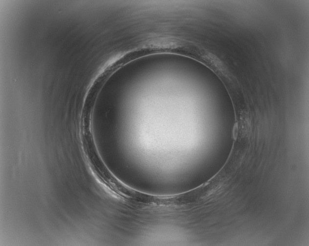 X0000060780726200511101339