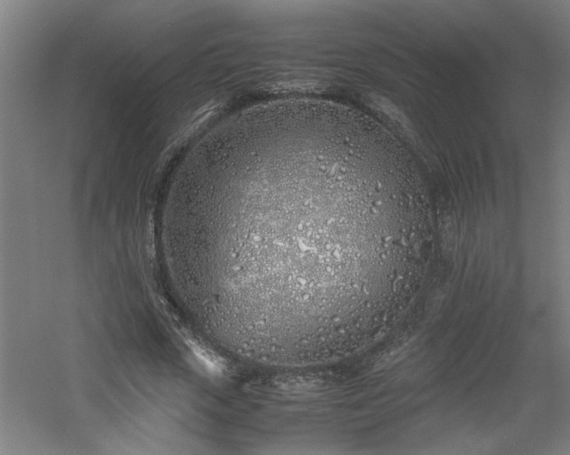 X0000060780729200511101339