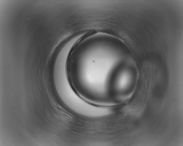 X0000060780731200511101339