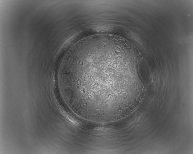 X0000060780733200511101339