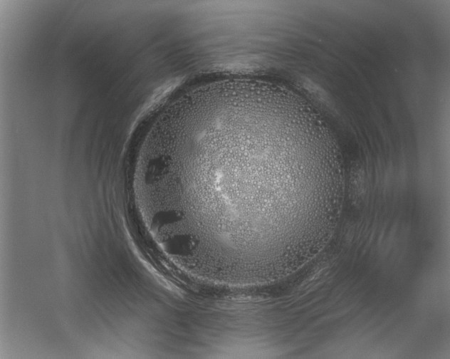 X0000060780734200511101339