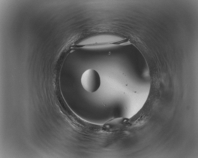 X0000060780735200511101339