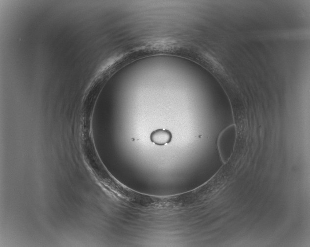 X0000060780736200511101339