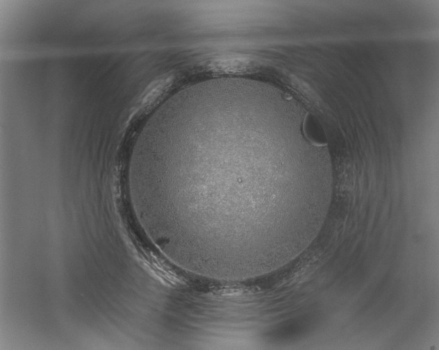 X0000060780738200511101339