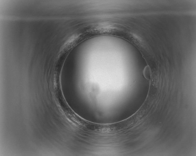 X0000060780740200511101339