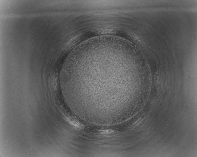 X0000060780741200511101339