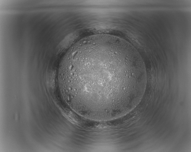 X0000060780742200511101339