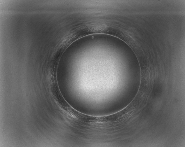 X0000060780743200511101339