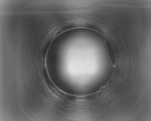 X0000060780744200511101339