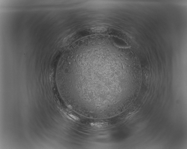 X0000060780745200511101339