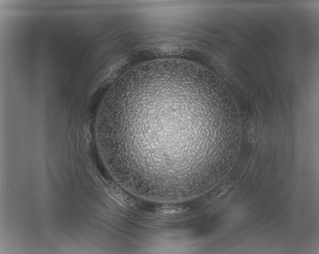 X0000060780746200511101339