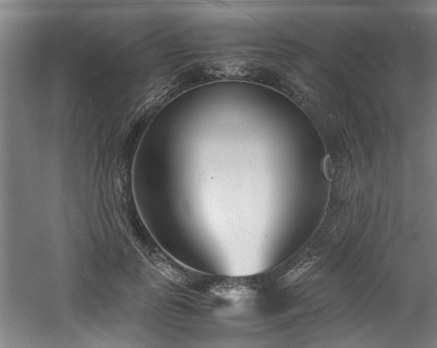 X0000060780747200511101339