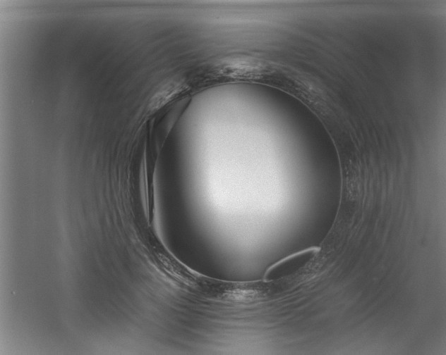 X0000060780748200511101339