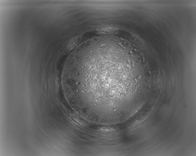 X0000060780749200511101339