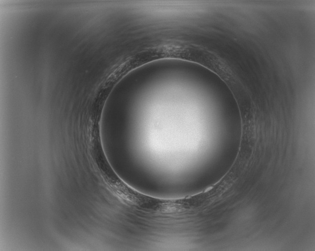 X0000060780750200511101339