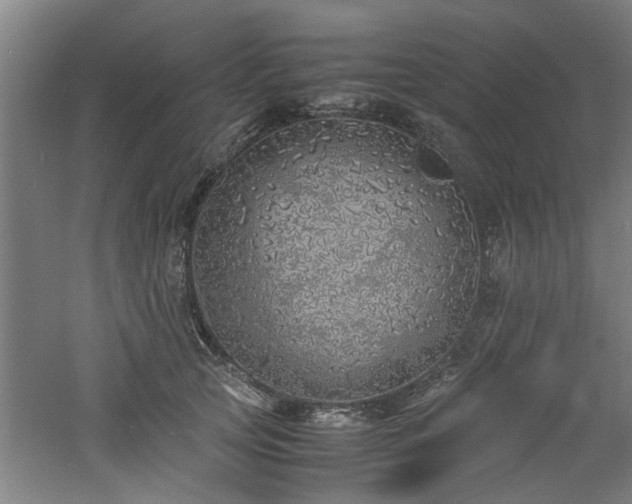 X0000060780753200511101339