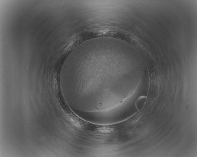 X0000060780754200511101339