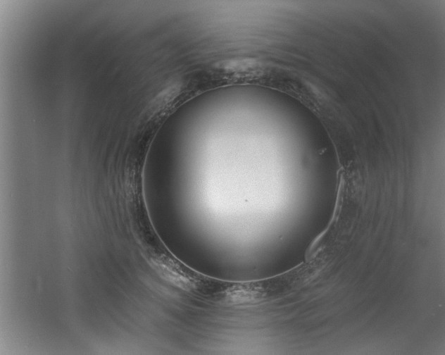 X0000060780756200511101339