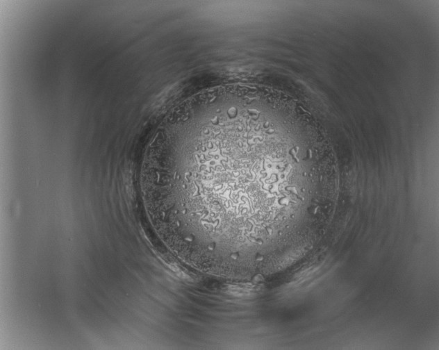 X0000060780757200511101339