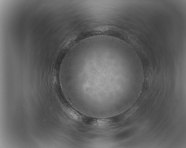 X0000060780758200511101339