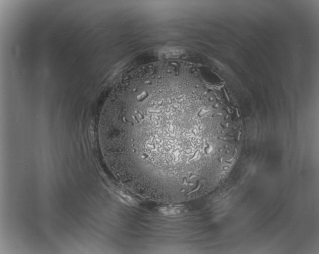 X0000060780761200511101339