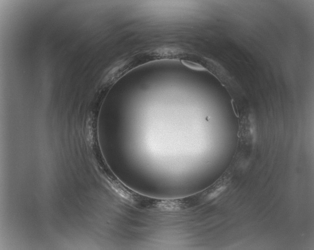 X0000060780762200511101339