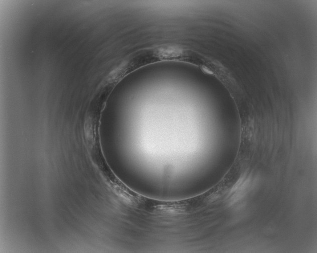 X0000060780763200511101339