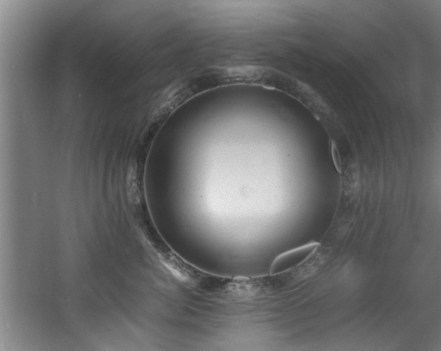 X0000060780764200511101339