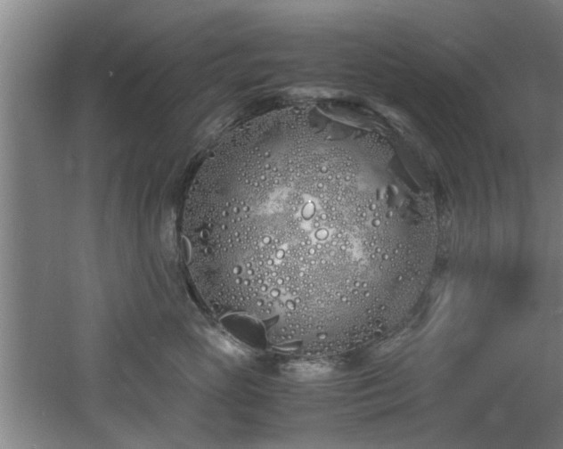 X0000060780765200511101339